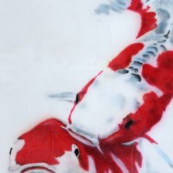 Koi 2013 80x120
