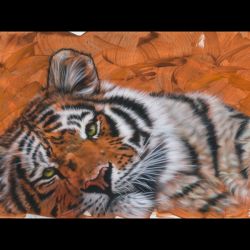 tiger_2006_orange_120x45