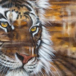 Tiger 2016 120x80 A