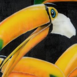 Tucan 2013 100x100